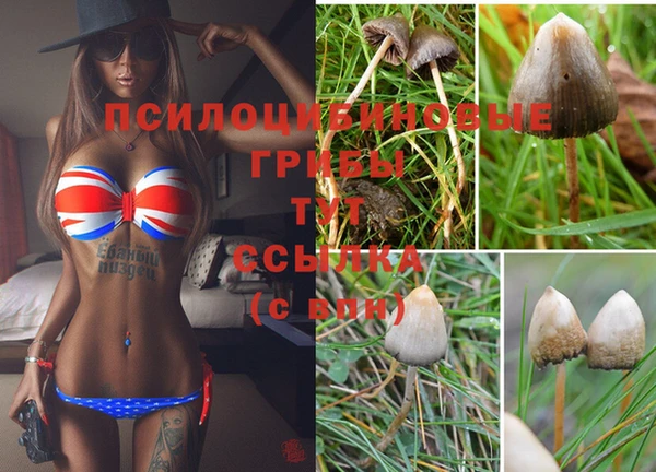 гашишное масло Абинск