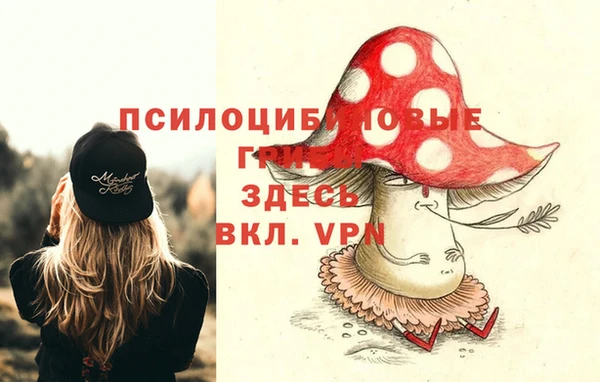 спайс Алексеевка