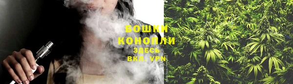шишки Алзамай