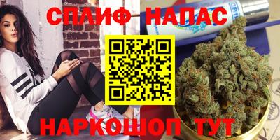 тгк Ставрополь