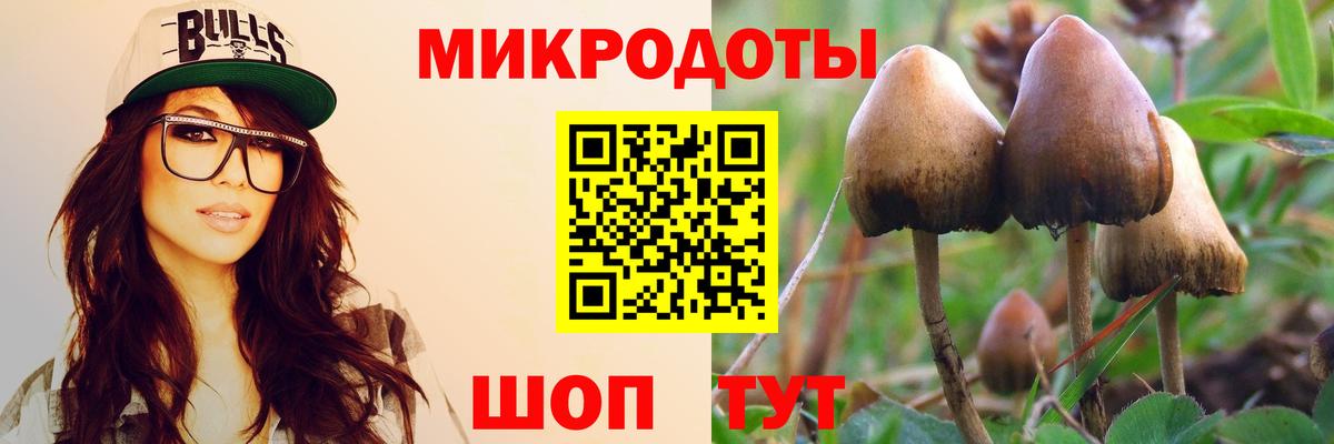 Сатка  Галлюциногенные грибы MAGIC MUSHROOMS  Вход с VPN  Псилоцибиновые грибы Psilocybe 